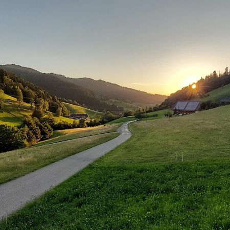 Irgendwo Im Schwarzwald Daire Elzach Dış mekan fotoğraf