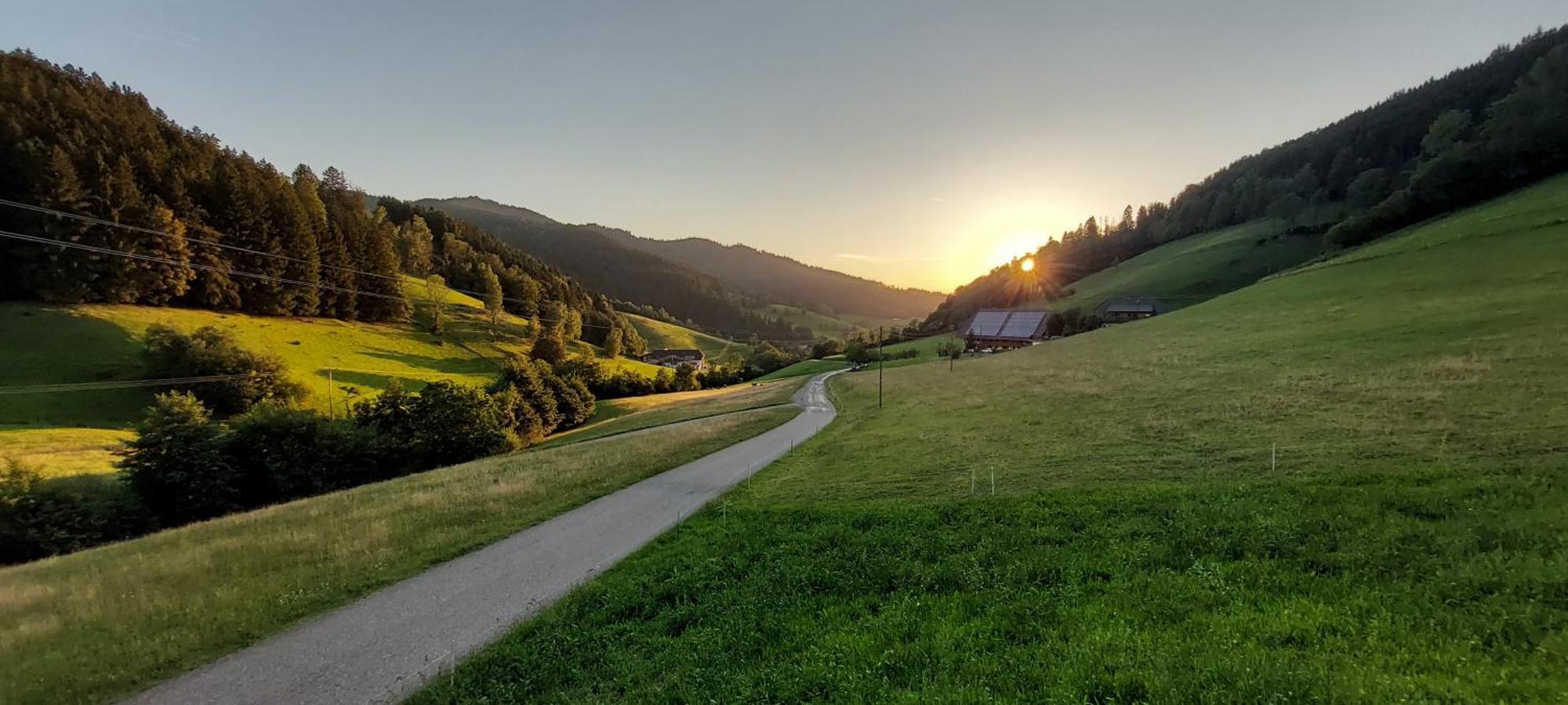 Irgendwo Im Schwarzwald Daire Elzach Dış mekan fotoğraf