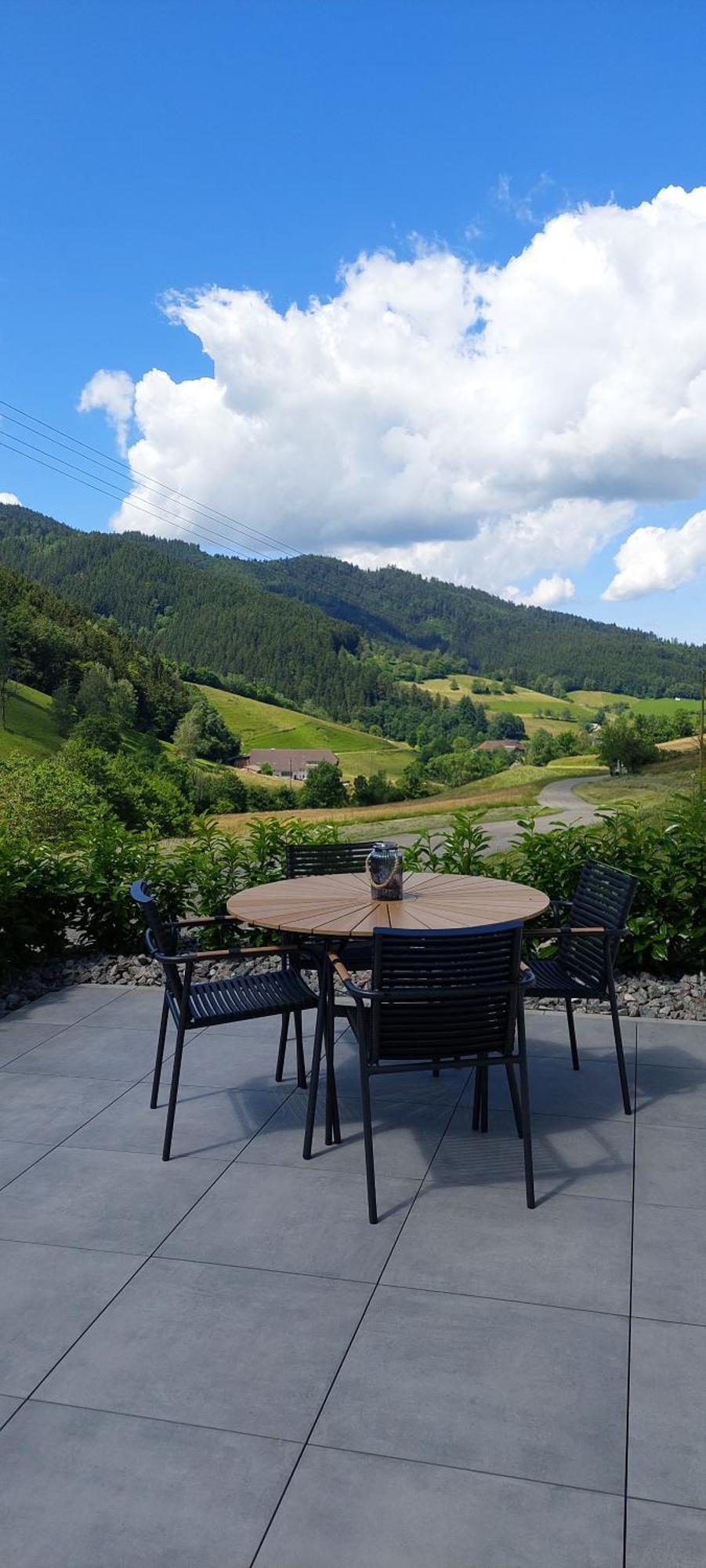 Irgendwo Im Schwarzwald Daire Elzach Dış mekan fotoğraf